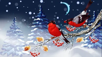 Картинки снегири на рябине | Искусство птицы, Снегирь, Зимнее искусство