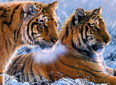 Тигр, как и любая кошка, гуляет сам по себе»: Сергей Арамилев