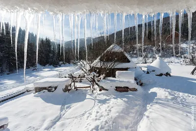 Погода в Карпатах - в горах ударил мороз 9 октября | РБК Украина