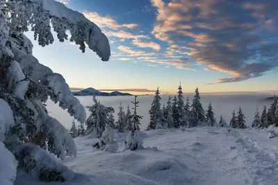Зима Карпатах стоковое фото ©Lyudmila_Lucienne 319163940
