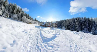 Украинский фотограф показал как выглядит зима в Карпатах (фото) - Ukraine  IS в 2023 г | Зима, Украина, Путешествия