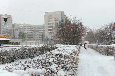 Зима в горах | я живу в россии и мне не страшно | ВКонтакте