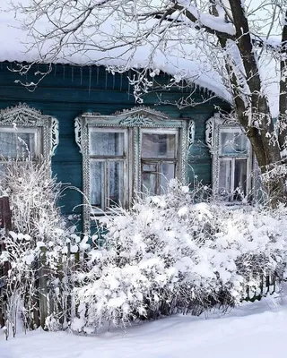 Выпавший в Московском регионе снег может пролежать до весны - В регионе -  РИАМО в Мытищах