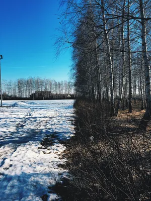 Картинки зима весна фотографии