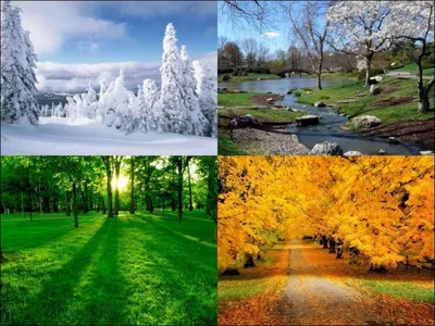 картинки : дерево, снег, зима, весна, Погода, время года, Австрия,  Изобразительное искусство, Gmunden, Ober Sterreich 4199x3305 - - 421910 -  красивые картинки - PxHere