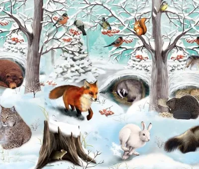 Картинки зимнего леса с животными фотографии