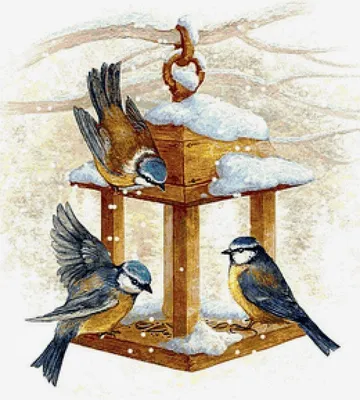 Картинки зимующие птицы на кормушке фотографии