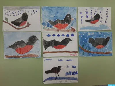 Проект «Зимующие птицы» в старшей группе (10 фото). Воспитателям детских  садов, школьным учителям и педагогам - Маам.ру