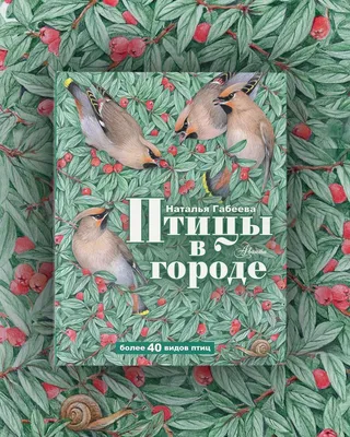 Зимующие Птицы В Белоруссии 68 фото