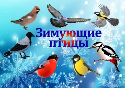 Зимующие птицы россии - 67 фото