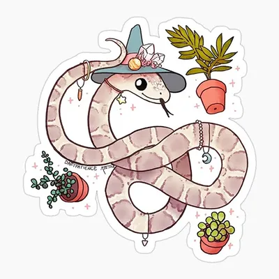 красивый карандашный рисунок змеи, рисунок змеи, змея, змеи фон картинки и  Фото для бесплатной загрузки