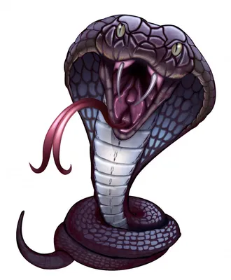 Нарисованный рукой эскиз иллюстрации кукурузной змеи | Премиум векторы