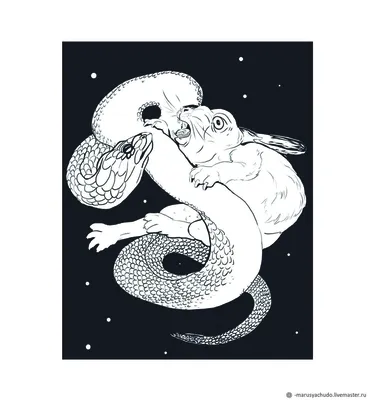 Змей | Пикабу