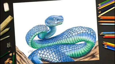 Змеи: красивые, но опасные» — создано в Шедевруме