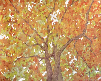 Картина золотая осень осенний пейзаж рисунок дерево В оттенках осени купить  в интернет-магазине Ярмарка Мастеров по цене 9500 ₽ – OS4NSBY | Картины,  Москва - доставка по России