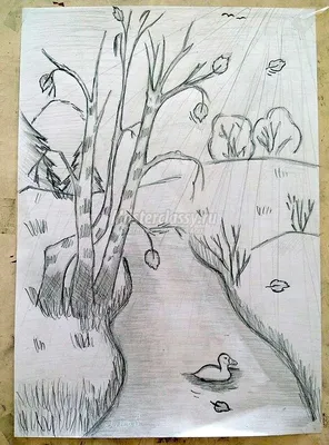 Детский рисунок пейзаж осени карандашом - 71 фото