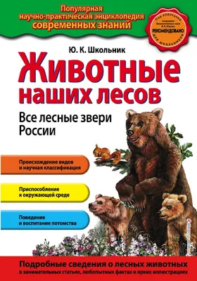 Плакат обучающий на стену Мир поздравлений какие звери живут в лесу  животные с картинками и названиями А2 купить по цене 152 ₽ в  интернет-магазине Детский мир