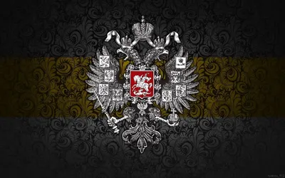 Обложка Имперский флаг для паспорта ОКЗ019 - купить в интернет-магазине  RockBunker.ru