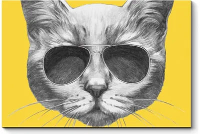 Иллюстрация Кот в очках в стиле 2d, абстракция, графика |