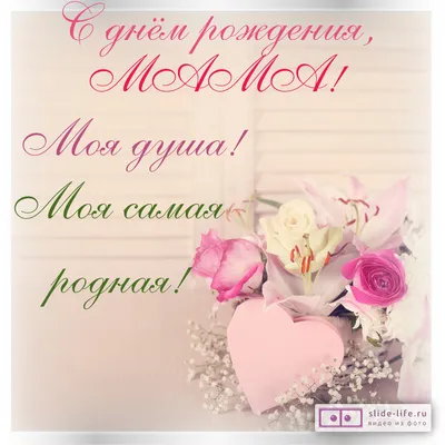 От всей души поздравляю Вас с Днём рождения! — Скачайте на Davno.ru