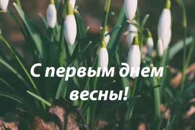 С первым днём весны! - фото автора стихиЯ на сайте Сергиев.ru