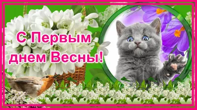 С первым днем весны! ~ Открытка (плейкаст)