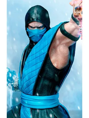 Купить постер (плакат) Mortal Kombat: Sub Zero на стену (артикул 100988)