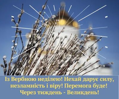 Вербное воскресенье 2023 – поздравления в картинках и прозе на украинском  языке