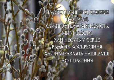 Вербная неделя 2024 по дням: когда начинается и заканчивается, история,  славянские традиции