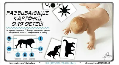 Купить развивающие черно-белые карточки для новорожденных Джунгли, цены на  Мегамаркет