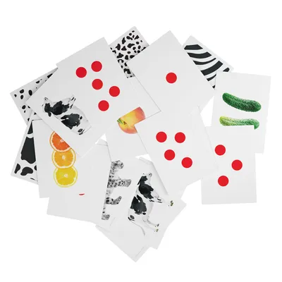 Развивающая игрушка по методике Г. Домана черно-белые карточки на кольце  «Зверята» 5шт, МИКС купить в интернет-магазине Wonderkid Toys