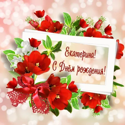 С дени рождения, дорогая Катенька!🤗💝🥰💝🎁🌹🌹🌹благодарю за ❤️🙏🌷 |  TikTok