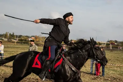 Фотообои «Казак на коне в поле»