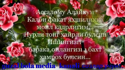 Идеи на тему «АССАЛОМУ АЛАЙКУМ! ХАЙИРЛИ ТОНГ!» (160) в 2024 г | тонга,  географическая деятельность, тюльпановый сад