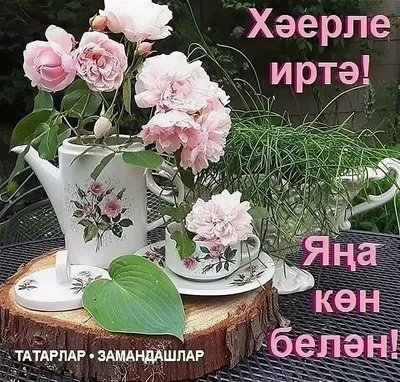 Хэерле иртэ, дусларым! Кунелле... - karimovaliya_farmasi | Facebook