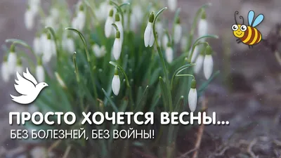Мир рукоделия Анны Сожан: Так хочется Весны!