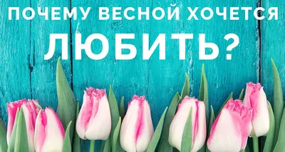 Весной так хочется мечтать! (Светлана Патрушева-Чабулова) / Стихи.ру