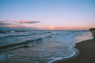 Где находится море в Калининграде -