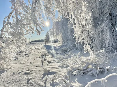 Красивая зима, падает снежок, …» — создано в Шедевруме