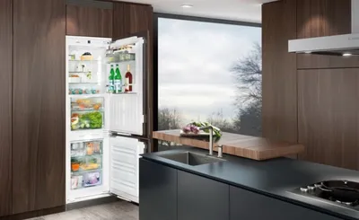 Какой холодильник лучше выбрать для дома: советы и мнение специалистов