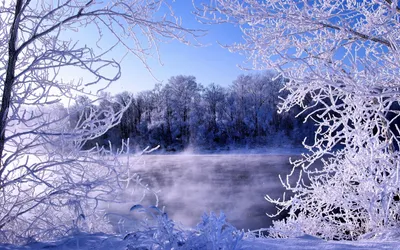 холодная зима пейзажа стоковое фото. изображение насчитывающей красивейшее  - 1176382