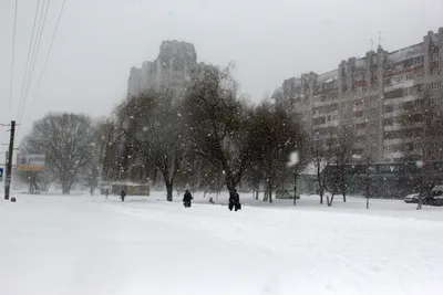 Россиян ждет более холодная зима по сравнению с 2019 годом | Пенза-Обзор -  новости Пензы и Пензенской области