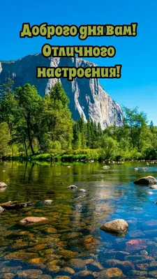 Пожелания доброго и хорошего дня. Самого Вам яркого и прекрасного дня |  Поздравления,открытки,пожелания | Дзен