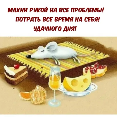 Добрый вечер! Прикольные открытки с остроумными картинками - pictx.ru
