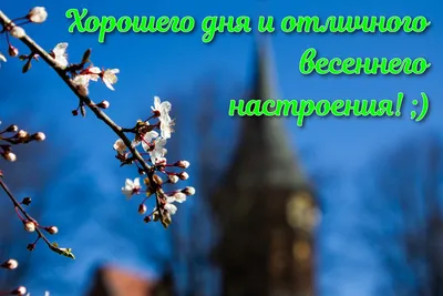 Картинки с надписями. Хорошего весеннего дня! Желаю хорошего настроения без  повода!.