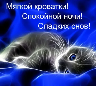 Открытка сладких снов с утятами в воде - поздравляйте бесплатно на  otkritochka.net