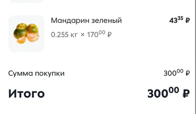 Гендиректор «Спартака»: «Уверен, квалификации Карасева хватит, чтобы хорошо  отработать дерби»