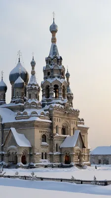 Фотография Москва Собор Россия Saint Basil's Cathedral Зима Улица