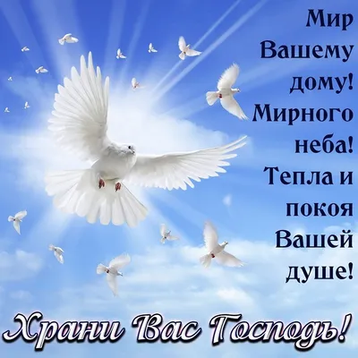 Что нужно отвечать на фразу: \"Храни вас Господь\" | Торжество православия |  Дзен