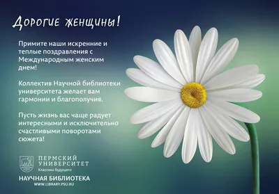 Священники: праздновать 8 марта можно, но по-христиански - РИА Новости,  08.03.2015